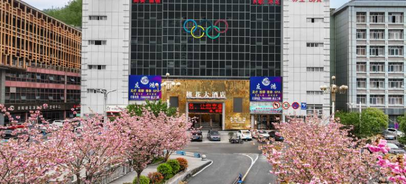 酉阳桃花大酒店图片
