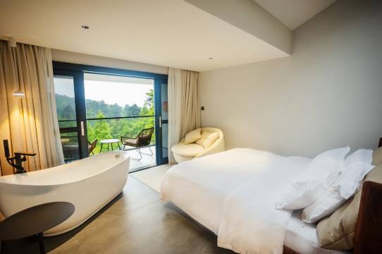 言溪·Dream现代美学山墅(南岳衡山风景名胜区店)图片