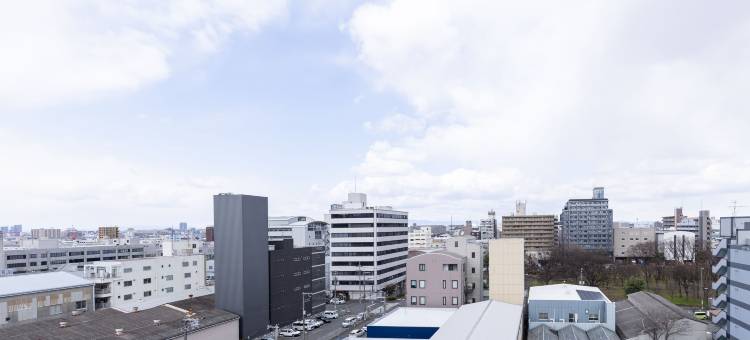 The Celecton 东大阪长田站前酒店(The Celecton Higashiosaka Nagataekimae)图片