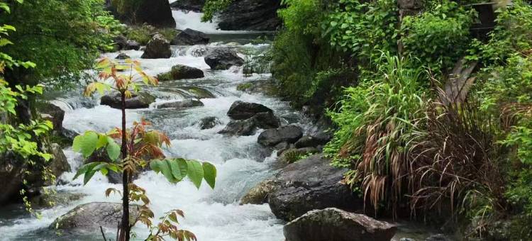 石台大山村林韵山居民宿图片