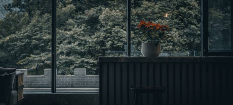 岳西岸香国际酒店图片