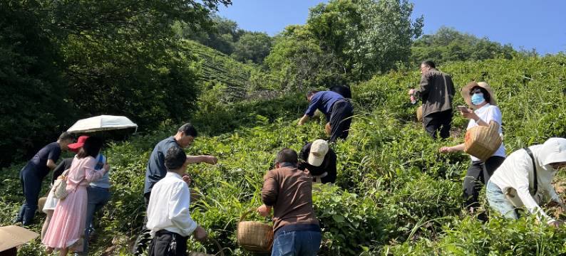 郝堂郝客栈(郝堂店)图片