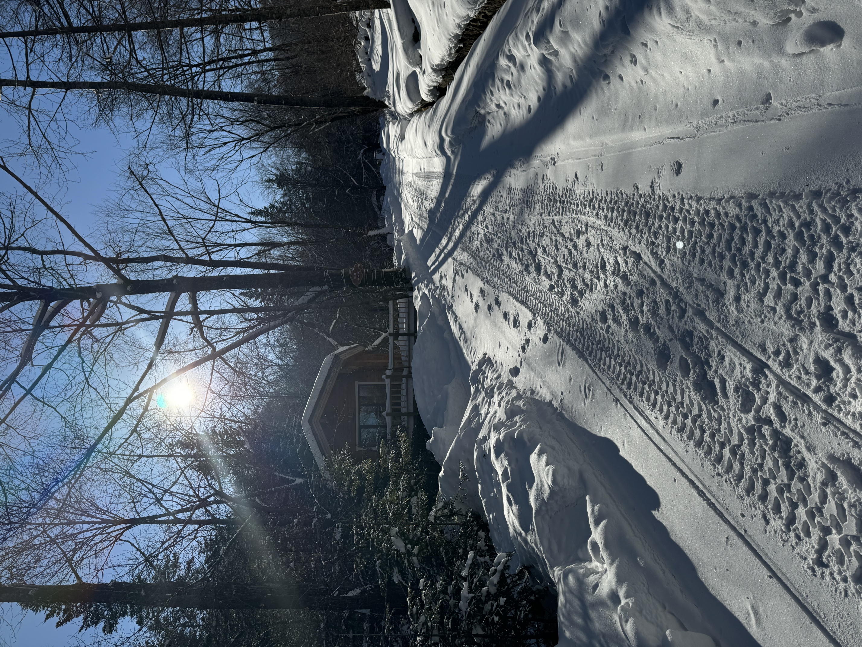 Shanshan Green HouseOver view