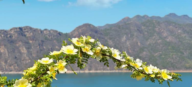 北京中信金陵酒店图片