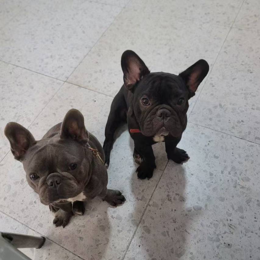 越好·绿荫树下·森系花园全海景度假别墅(大理高铁站洱海公园店)图片