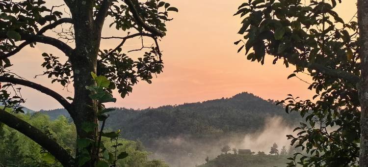 余姚四明山茶落归山民宿图片