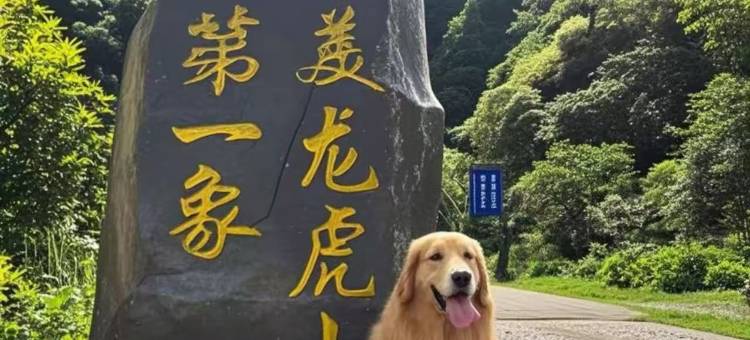 好运•枕溪-自在山野氧吧民宿(龙虎山西大门店)图片