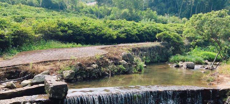 云上人家民宿图片