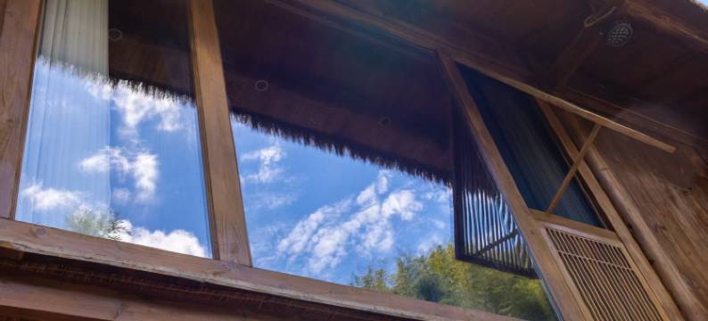 绥宁铁杉林苑民宿图片