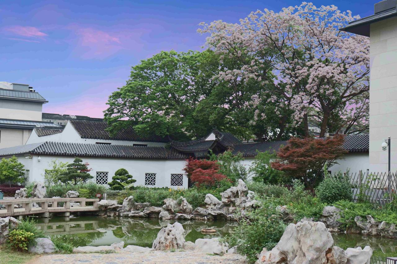 苏州中心大酒店图片