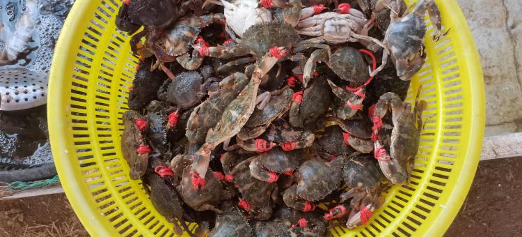 汐光屿·御龙湾海景美宿图片