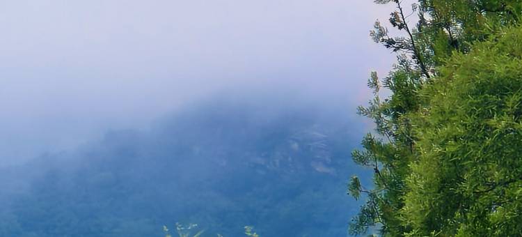 茶香四时·茶空间民宿(花果山景区店)图片