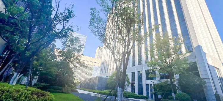 美豪丽致酒店(武汉江夏客厅地铁站永旺梦乐城店)图片