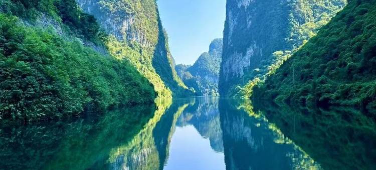 河池铂悦酒店(职教中心店)图片