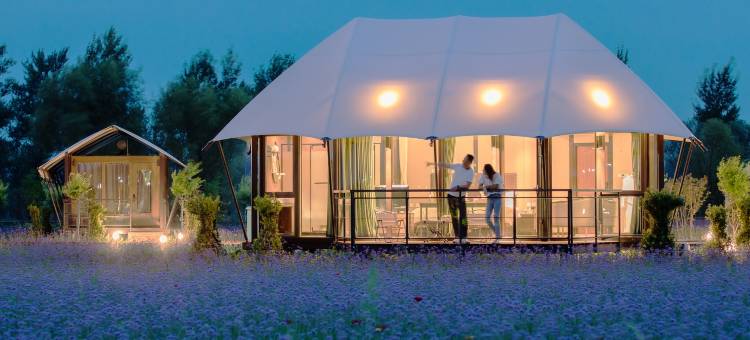 大漠花海酒店图片