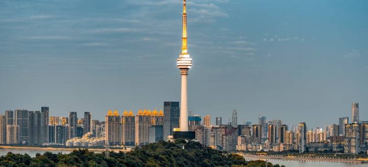 颐朵酒店(武汉归元禅寺国博中心店)图片