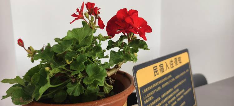 金利达精品民宿(成山头风景名胜区店)图片