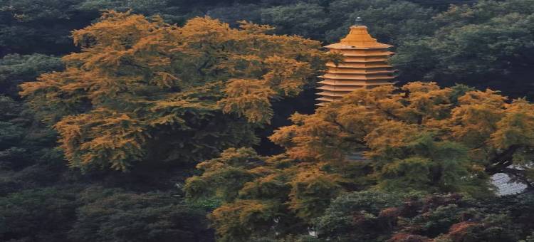 爱蒂儿智能酒店(盘锦火车站兴隆大厦第二百货店)图片