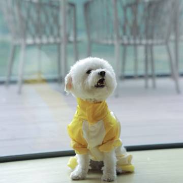 携程度假农庄(河南安阳林州石板岩店)图片