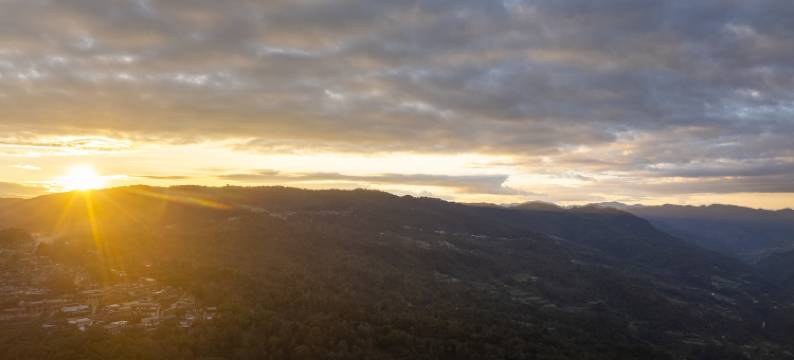 景泉丨茶林雅境・TeaInn客栈(景迈山古茶林观景台站店)图片