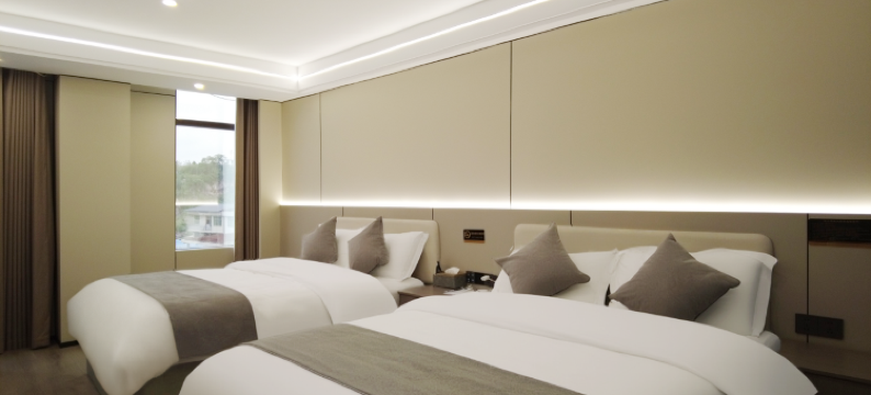 清镇铂兰蒂斯大酒店图片