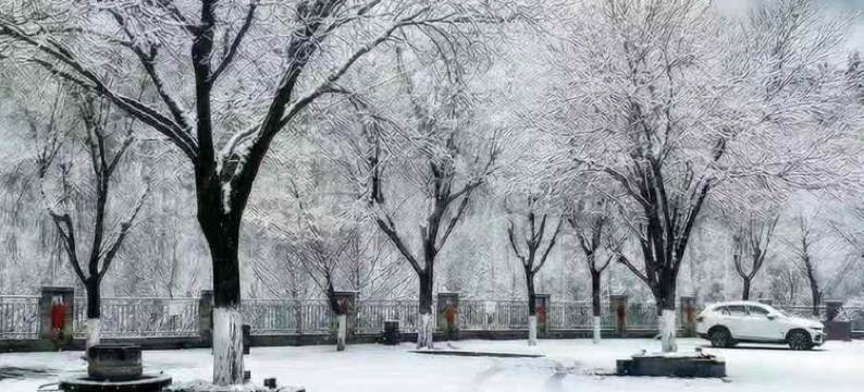 延安石窑宾馆(杨家岭革命旧址店)图片