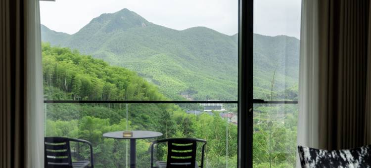 且安里·SCENIC·180°环山轻奢溯溪度假美宿(安吉云上草原店)图片