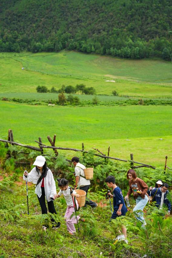 桃花坞·丽江玉龙雪山野奢度假山居图片