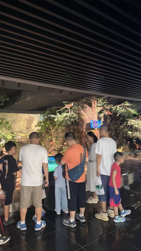 峨眉山红珠山宾馆禅意山居图片