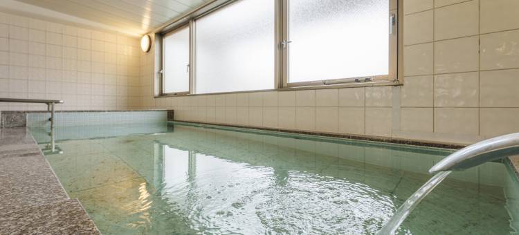 长野林登广场酒店(Nagano Linden Plaza Hotel)图片
