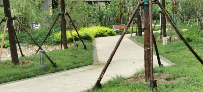 容城宸特民宿图片