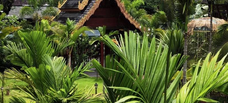 春满西双·吊脚楼图片