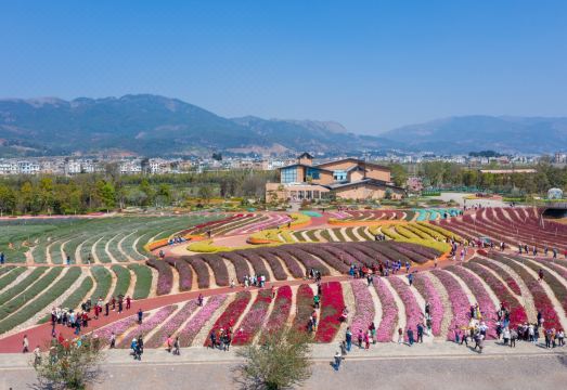 Chengjiang Nianhugui Inn Hotel Overview