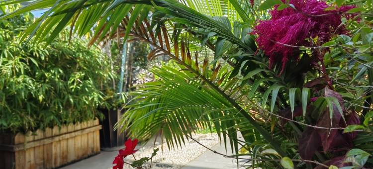 建水陶静别院客栈图片