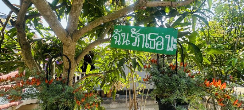 西双版纳景洪栖子堂·隐世湖畔野奢度假民宿(嘎洒国际机场店)图片