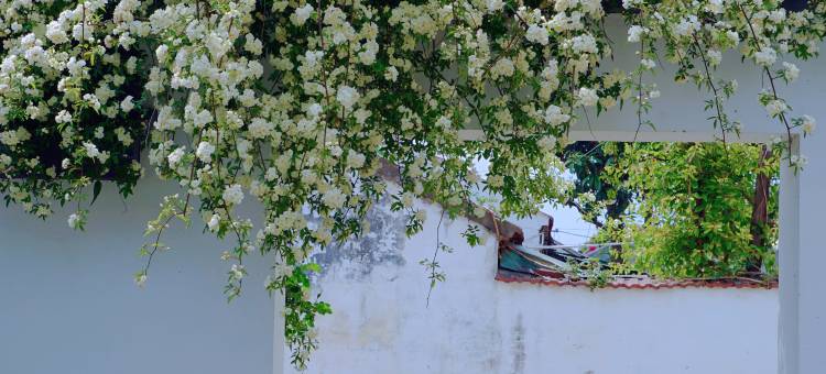 常熟日斜林西民宿图片