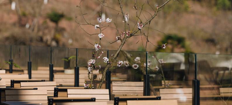 半隐·桃源山野精品度假酒店图片