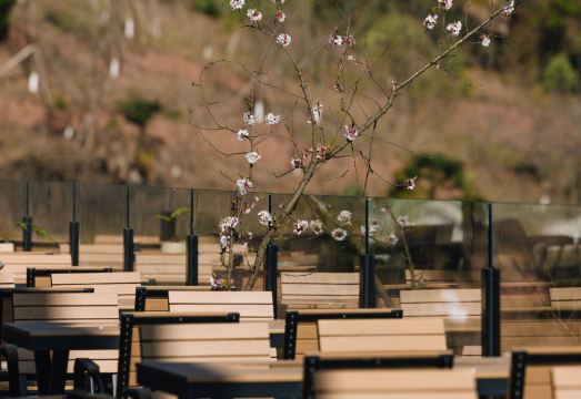 Half Hidden - Peachland Mountain Boutique Resort & Spa Hotel Overview