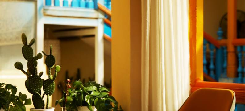 戈壁滩·纯女生·青旅(喀什古城景区店)图片