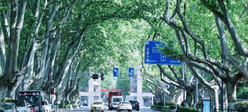 南京博物院泊金黄埔酒店图片