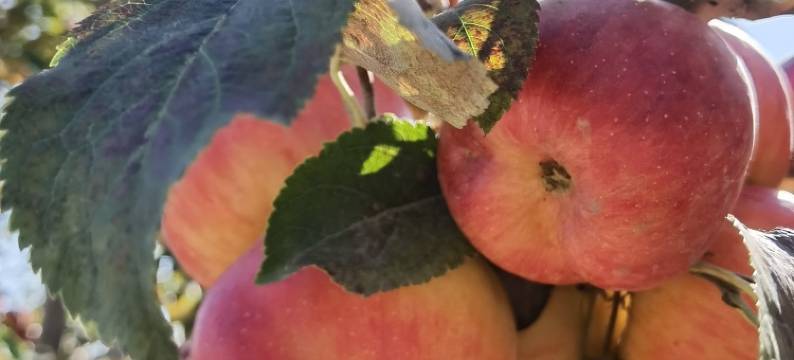 亦浓酒庄民宿图片