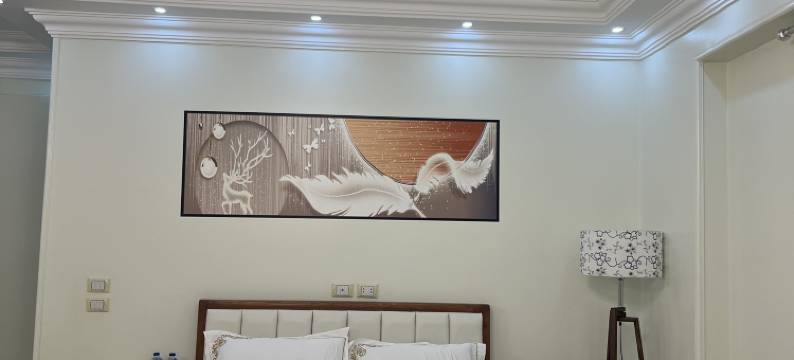 新华酒店(华人酒店)(New Cairo xinhua hotel)图片