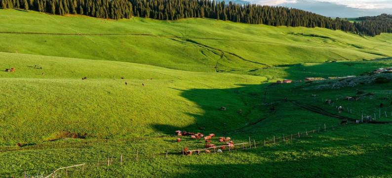 喀拉峻祥益牧云美宿图片
