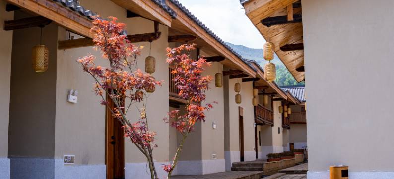 龙南虔心小镇半山腰温泉度假酒店图片