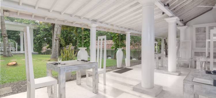 蔚十五逸境(W15 Escape)图片