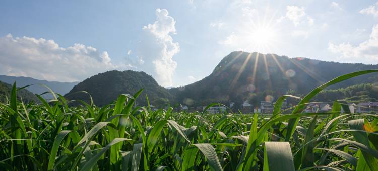 岳西千山里民宿图片