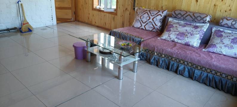 大勇旅游之家(额尔古纳室韦镇临江店)图片