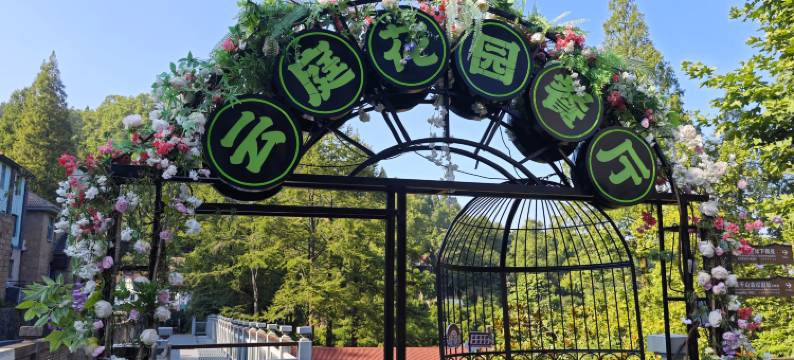 林墅酒店(莫干山景区内荫山街换乘处店)图片