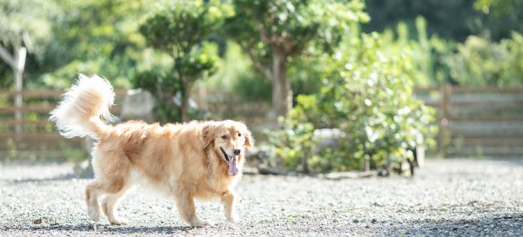 Fiore志摩酒店(Fiore Shima)图片