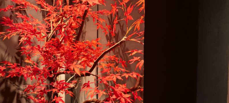 长沙逅山隐酒店(五一广场地铁站IFS国金中心店)图片